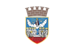 Град Зрењанин